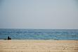 DSC_4396.jpg